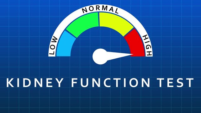 Kidney Function Test Gauge Showing Normal Range on Blue Grid Background meter