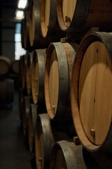 Rustic winery interior with aging wine barrels and ambient light filtering through windows. A dimly lit interior of a rustic winery cellar. Rows of large, aged oak wine barrels are stacked or lined