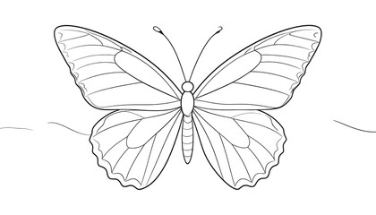Detailed Line Drawing of a Butterfly with Intricate Wing Patterns.