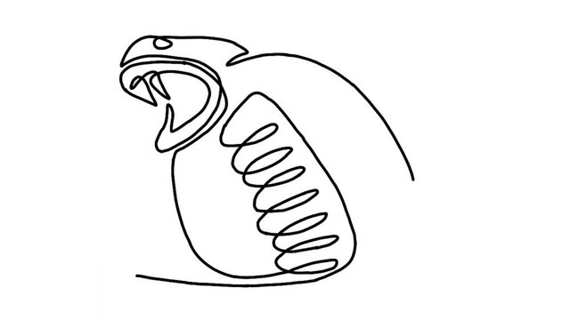 Continue line animation of cobra 