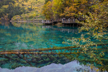 Five Flower Lake in autumn is famous for its beautiful scenery of the lake, mountains and surrounding scenery. It is located in Jiuzhaigou National Park, China