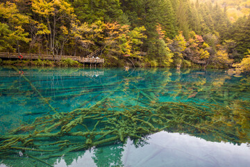 Five Flower Lake in autumn is famous for its beautiful scenery of the lake, mountains and surrounding scenery. It is located in Jiuzhaigou National Park, China