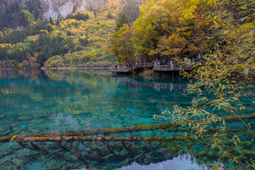 Five Flower Lake in autumn is famous for its beautiful scenery of the lake, mountains and surrounding scenery. It is located in Jiuzhaigou National Park, China