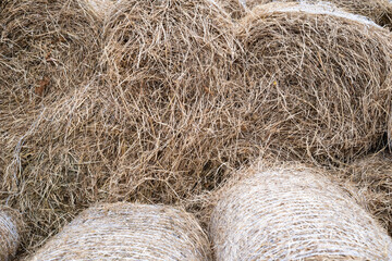 Orchard grass hay feed for farm livestock and domestic animals, small rolls of bailed and stacked for storage and sale
