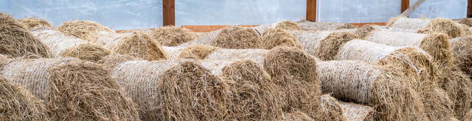 Orchard grass hay feed for farm livestock and domestic animals, small rolls of bailed and stacked for storage and sale
