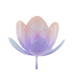 Delicate gradient tulip flower with soft petals isolated on transparent background