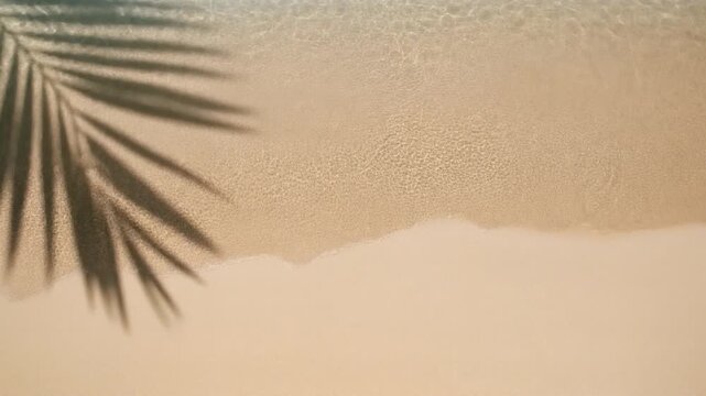An abstract top view of a tropical beach shows a palm leaf shadow on the empty sand as a transparent water wave gently washes ashore, creating a serene, minimalist vibe.