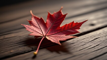 A striking red maple leaf is delicately placed on a weathered wooden surface, showcasing its intricate veins and vibrant color, creating a warm and inviting autumn atmosphere