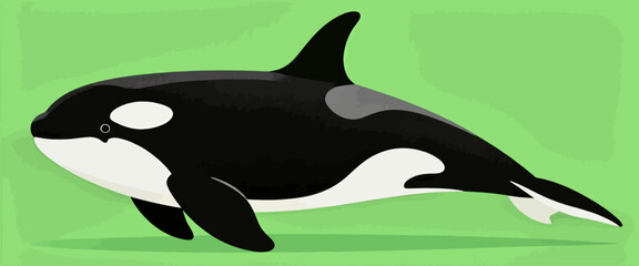 Minimal orca illustration, flat black and white design, isolated on green