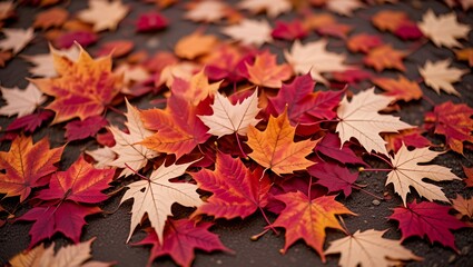 A beautiful array of colorful autumn leaves in shades of red, orange, and yellow is scattered across the ground, creating a vibrant and picturesque scene of fall foliage