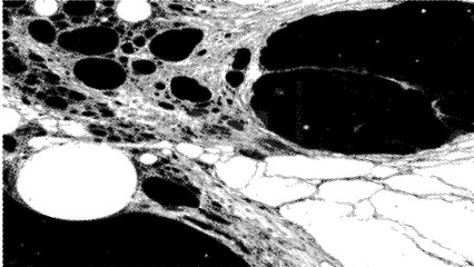 ABSTRACT HALFTONE BACKGROUND_32