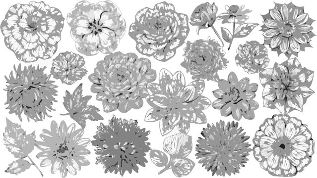 Elegant dahlia floral pattern in grayscale, perfect for sophisticated designs and modern botanical themes
