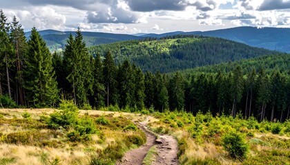 Scenic mountain landscape with a winding path through a lush green forest and rolling hills under a cloudy sky.