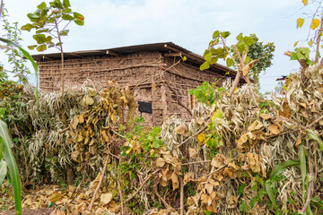 Typical African mud and daub house with one window surrounded by tree branches and foliage