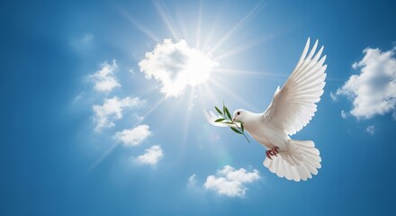 Fototapeta premium Dove of peace flying in the sky with olive branch symbol of hope