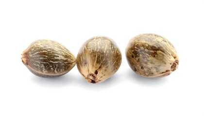 Three cannabis seeds on a white background.