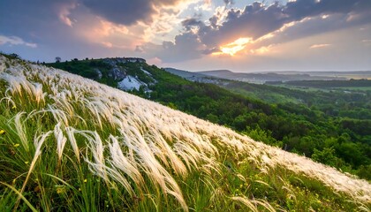 Scenic Landscape with Feather Grass and Dramatic Sky at Sunset.