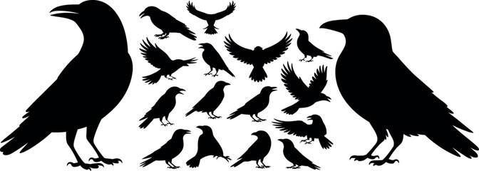 Fototapeta premium Bird silhouettes vector set, flying birds clipart, eagle crow raven icons, wildlife nature, animal silhouette collection