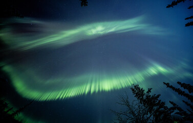 Alaska's Northern Lights