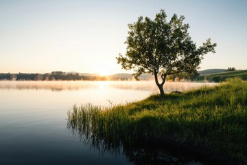 Serene sunrise reflection at a quiet lakeside nature photography calm environment relaxing view tranquil concepts for mindfulness