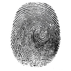 Fingerprint: A close-up view of a unique fingerprint, showcasing the intricate patterns of ridges and swirls that identify a person. 