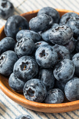 Organic Raw Big Giant Jumbo Blueberries