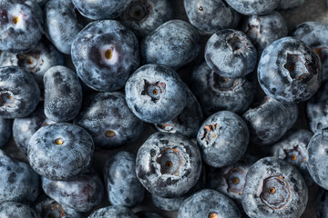 Organic Raw Big Giant Jumbo Blueberries