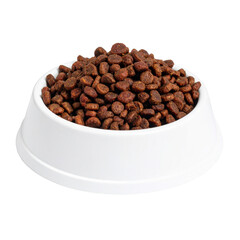 Healthy Meal: A close-up shot presents a clean, minimalist white bowl overflowing with crunchy pet food, designed to offer a complete meal for pets. 