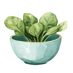Fresh spinach leaves in a light blue ceramic bowl watercolor illustration.