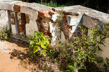 Dilapidated balustrade of an abandoned early 20th-century manor, crumbling plaster and brickwork reclaimed by tenacious summer greenery