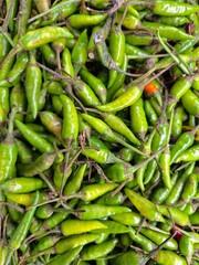 photo background of a pile of fresh green chilies, cayenne pepper
