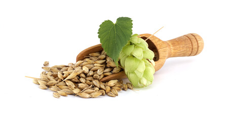 Wooden Scoop with Barley and Hops for Beer Brewing Ingredients