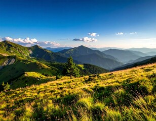 Fototapeta premium A sprawling vista showcases rolling green hills, dotted with sparse trees, fading into distant, hazy mountain peaks under a bright, clear blue sky