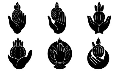 Illustrations of hands holding various plant forms in a symmetrical and stylized black and white design