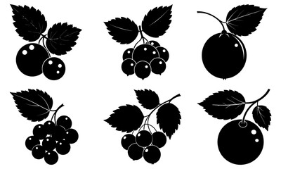 Silhouette illustration showcasing various types of berries and leaves in a vector format design element