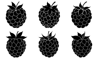 Six black and white raspberry illustrations arranged in two rows on a white background