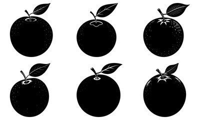 Illustration of six black and white fruit with leaves in a botanical style arrangement on white background