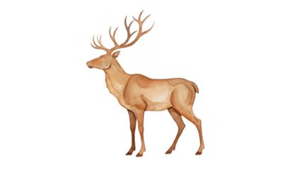 Watercolor Painting of a Majestic Deer With Antlers on White Background