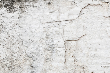 Light Gray Stucco Wall Texture. Abstract Background
