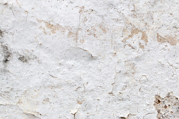 Light Gray Stucco Wall Texture. Abstract Background