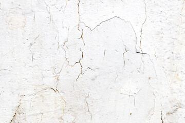 Light Gray Stucco Wall Texture. Abstract Background