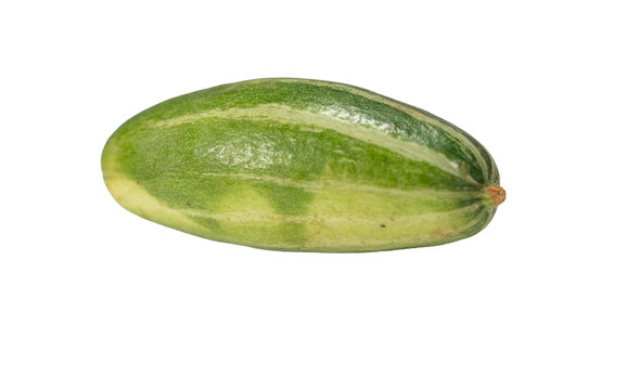 Pointed Green Gourd: A Vibrant Vegetable on a Transparent Background Showcasing Its Fresh and Lush Appearance