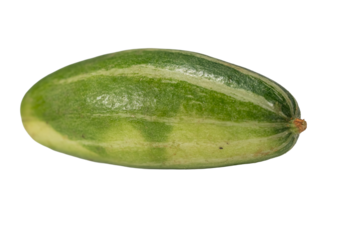 Pointed Gourd: A Vibrant Green Vegetable Perfect for Your Healthy Diet on Transparent Background