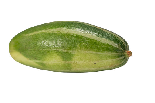 Pointed Gourd: A Vibrant Green Vegetable Perfect for Your Healthy Diet on Transparent Background