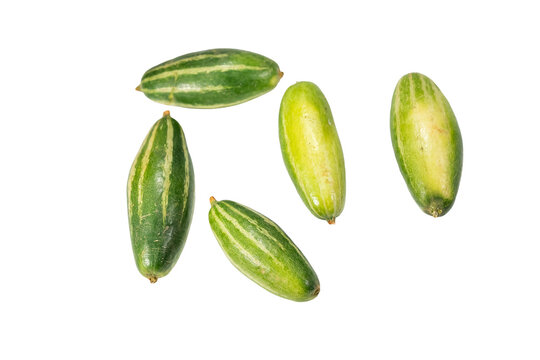 Pointed Gourd: A Fresh Green Vegetable for Healthy Cooking and Nutrition on Transparent Background