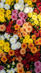 Beautiful seamless floral pattern of yellow daisies and colorful spring flowers blooming from above
