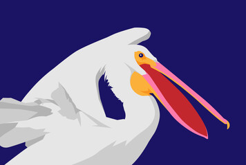 An amazing close-up of an American white pelican. Bird illustration graphic design.