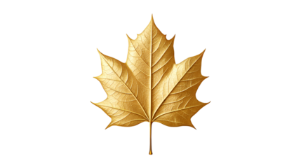 A single golden maple leaf with a detailed metallic texture sits in front of an abstract geometric pattern