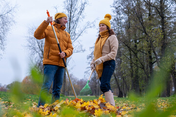 Midlife couple enjoys autumn day raking colorful leaves in a park, surrounded by vibrant fall foliage, capturing the essence of seasonal outdoor activities and togetherness