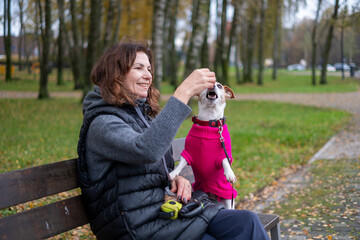 Middle-aged woman sitting on a bench in a park, joyfully interacting with her Jack Russell Terrier, showcasing a bond between pet and owner in a natural setting